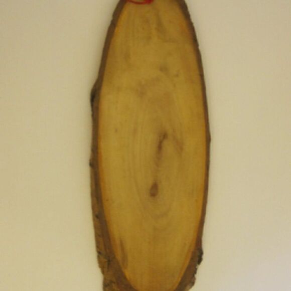 VINTAGE Wood Slice Woodburning Picture Ornament Warrior Chinese Oval Medium - Picture 5 of 6